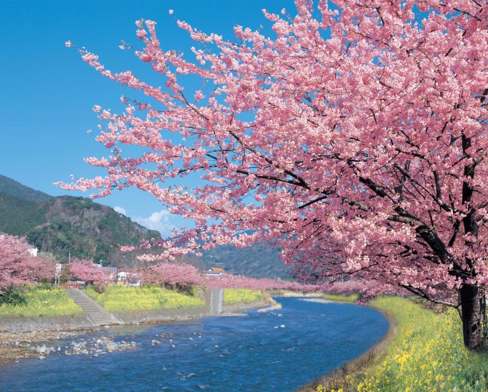 Imaiso Kawazu Buitenkant foto